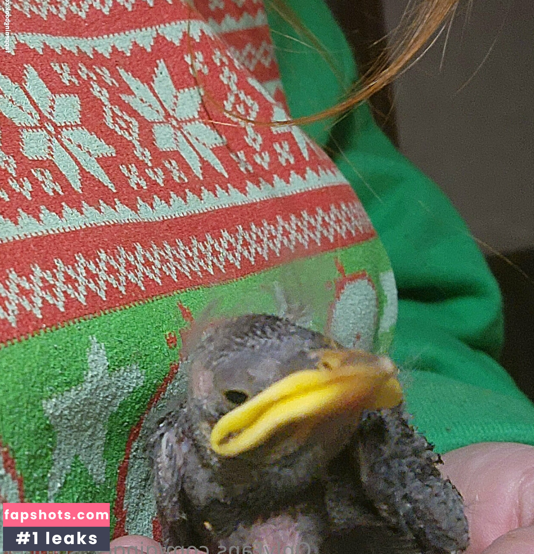 ginger_spinner gallery photo #46