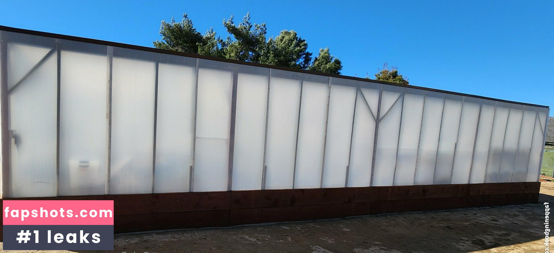 ginger_spinner gallery photo #65