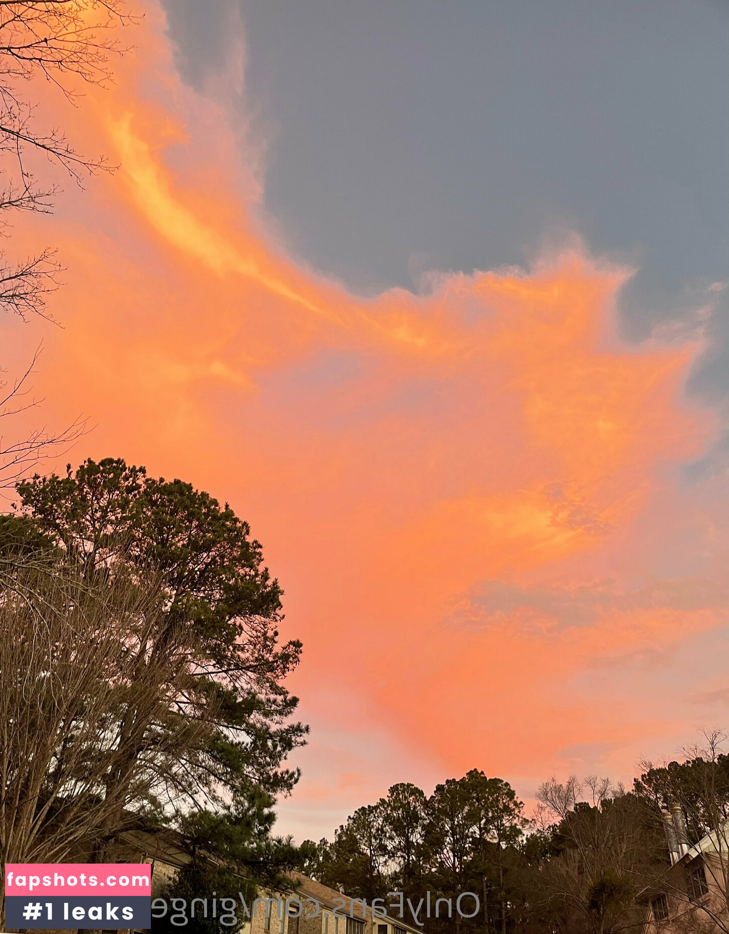 gingeralemom gallery photo #9