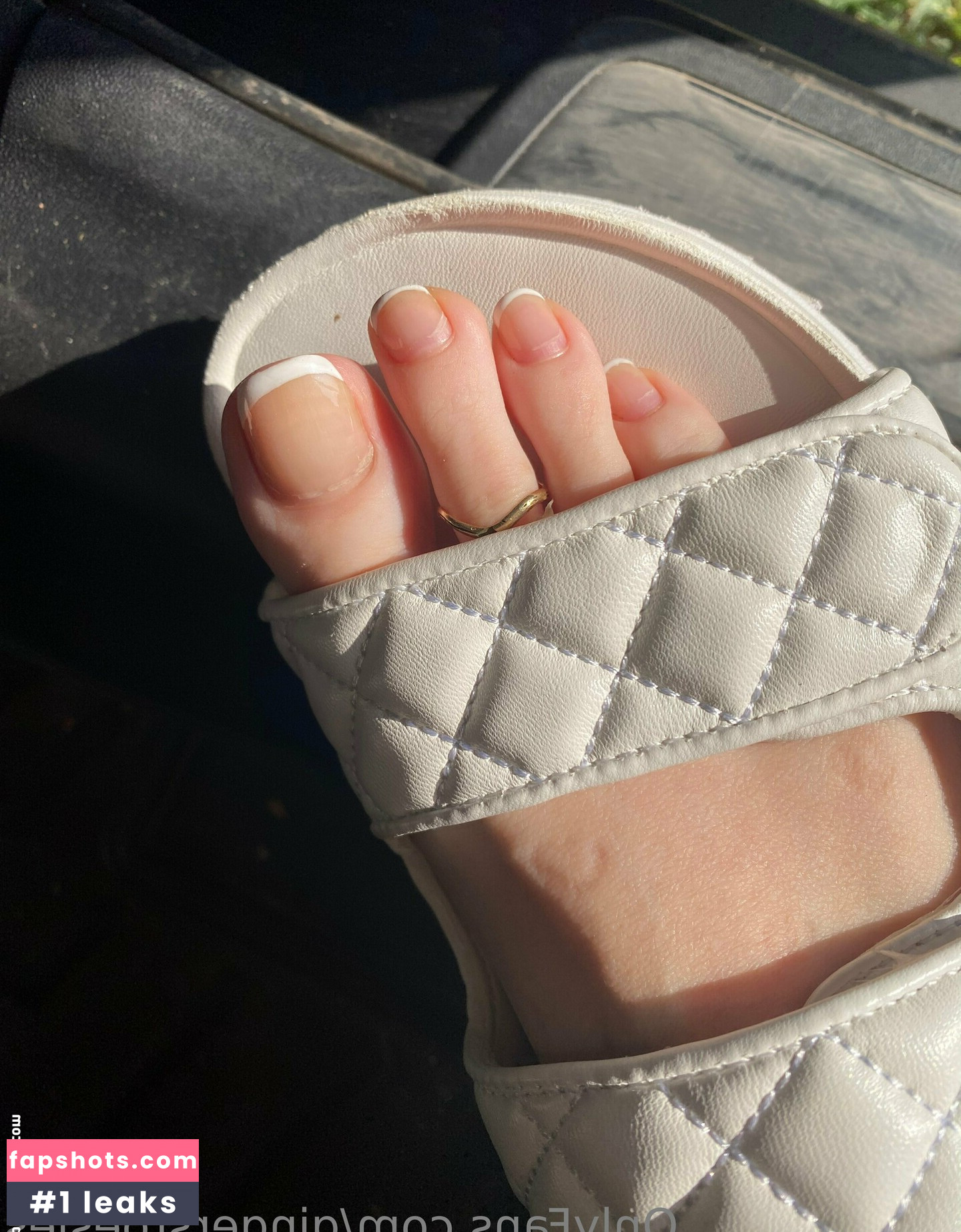 Gingerstoesies gallery photo #26