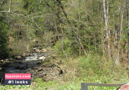 Girlf Grid gallery photo #2