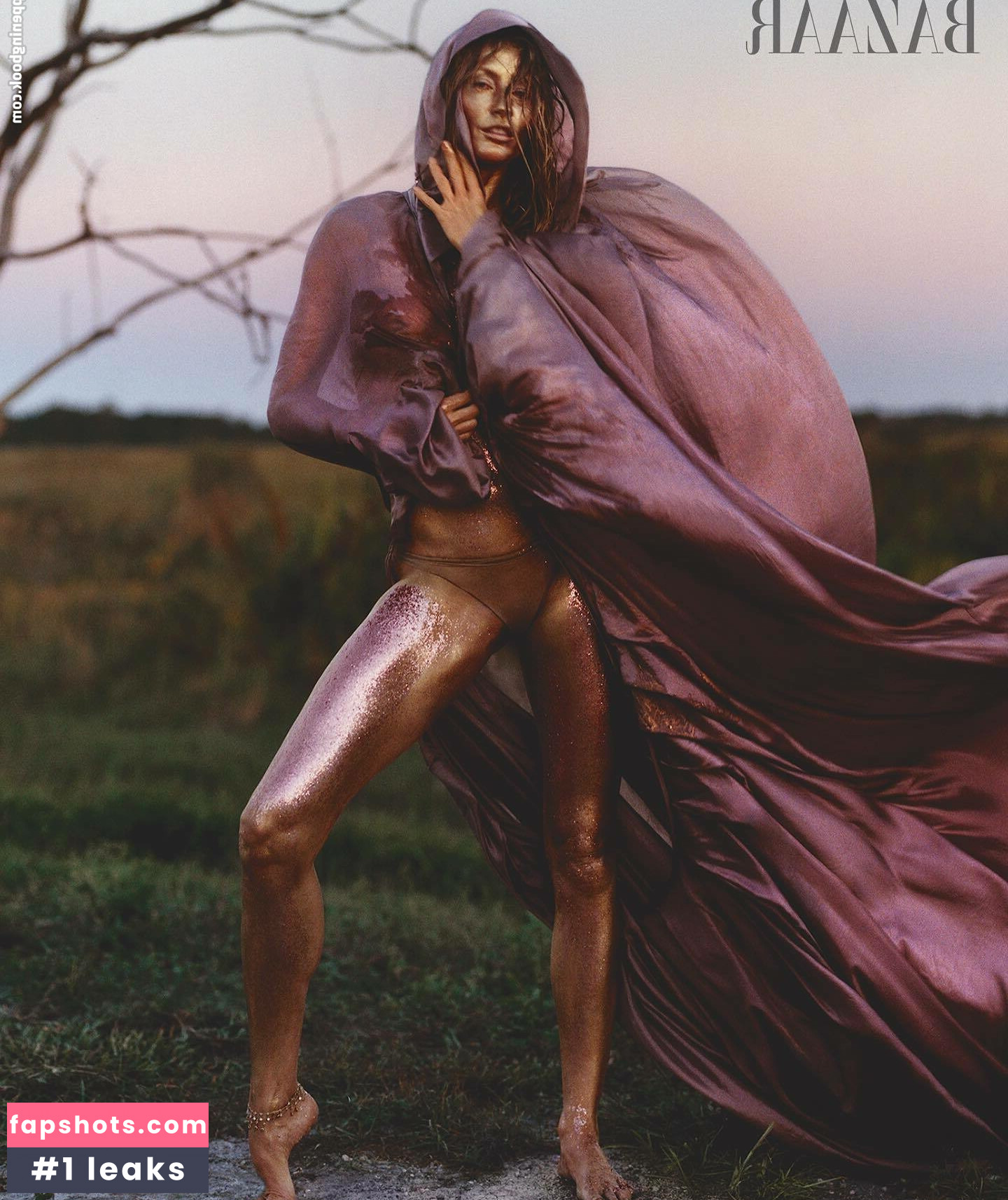 Gisele Bundchen gallery photo #142