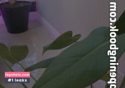 Gizelle Blanco gallery photo #69