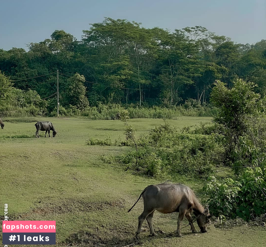 Glenda Wongso gallery photo #11