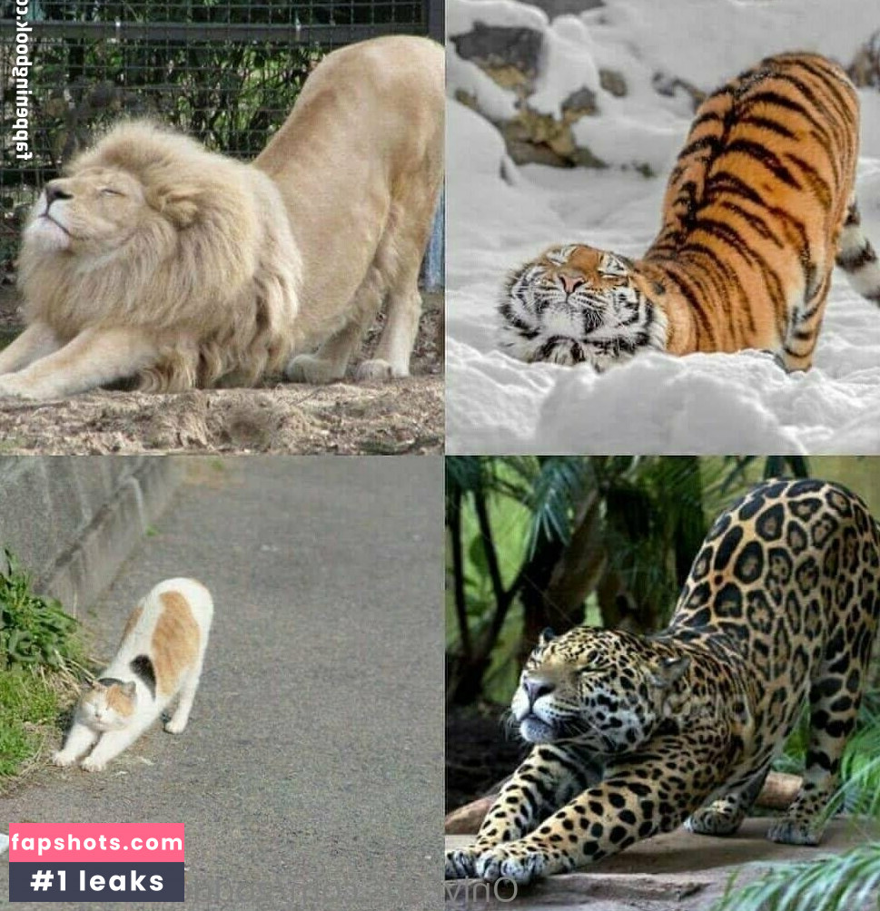 goddessbendis2 gallery photo #4