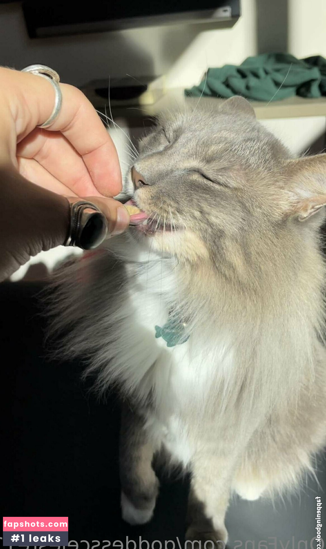 Goddessceleste111 gallery photo #145