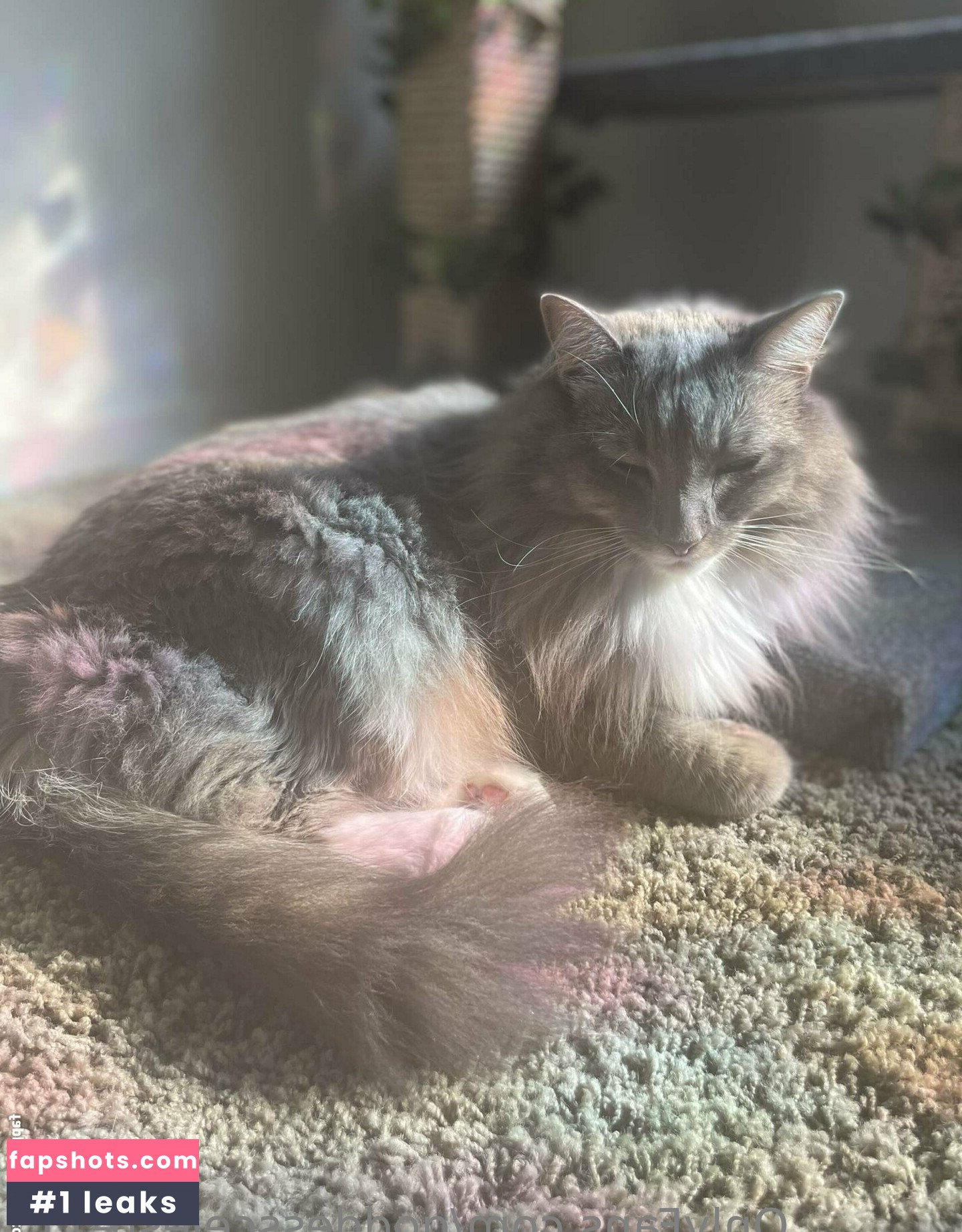 Goddessceleste111 gallery photo #98