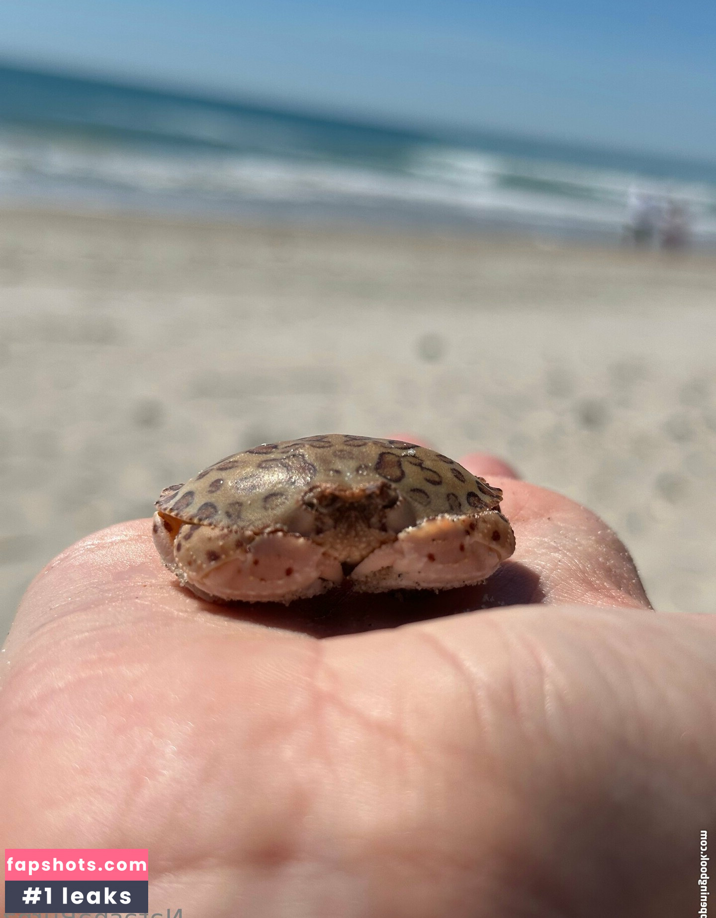 goddesstalltasha gallery photo #24