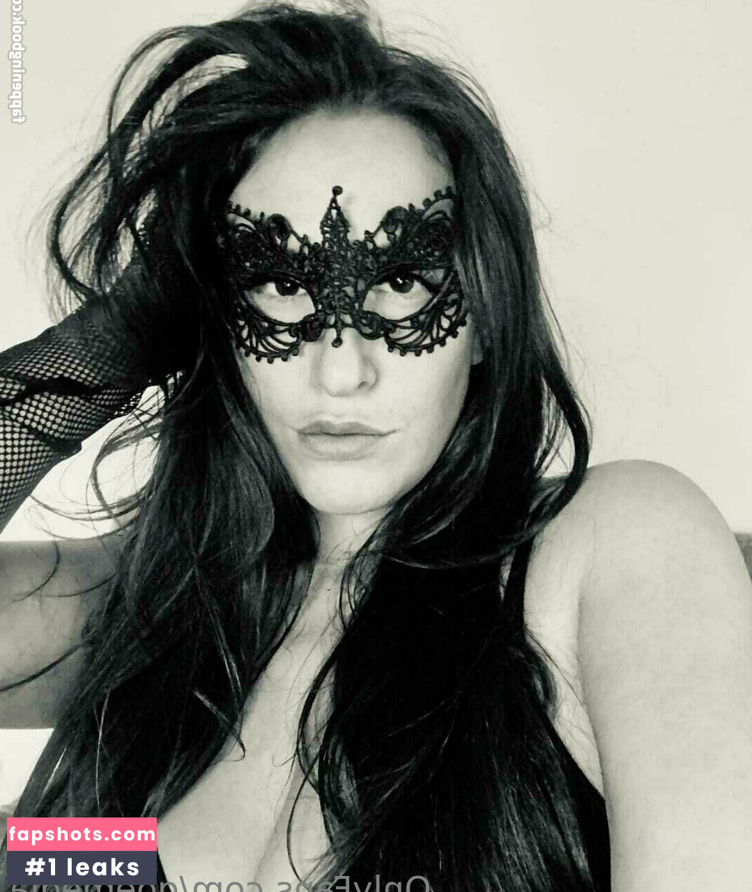 goemedia gallery photo #19