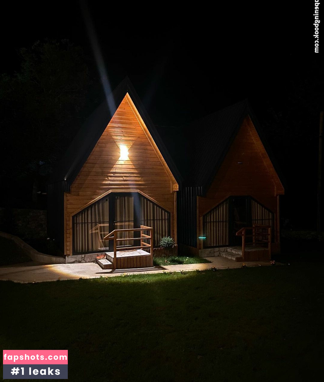 Goldi Halili gallery photo #2