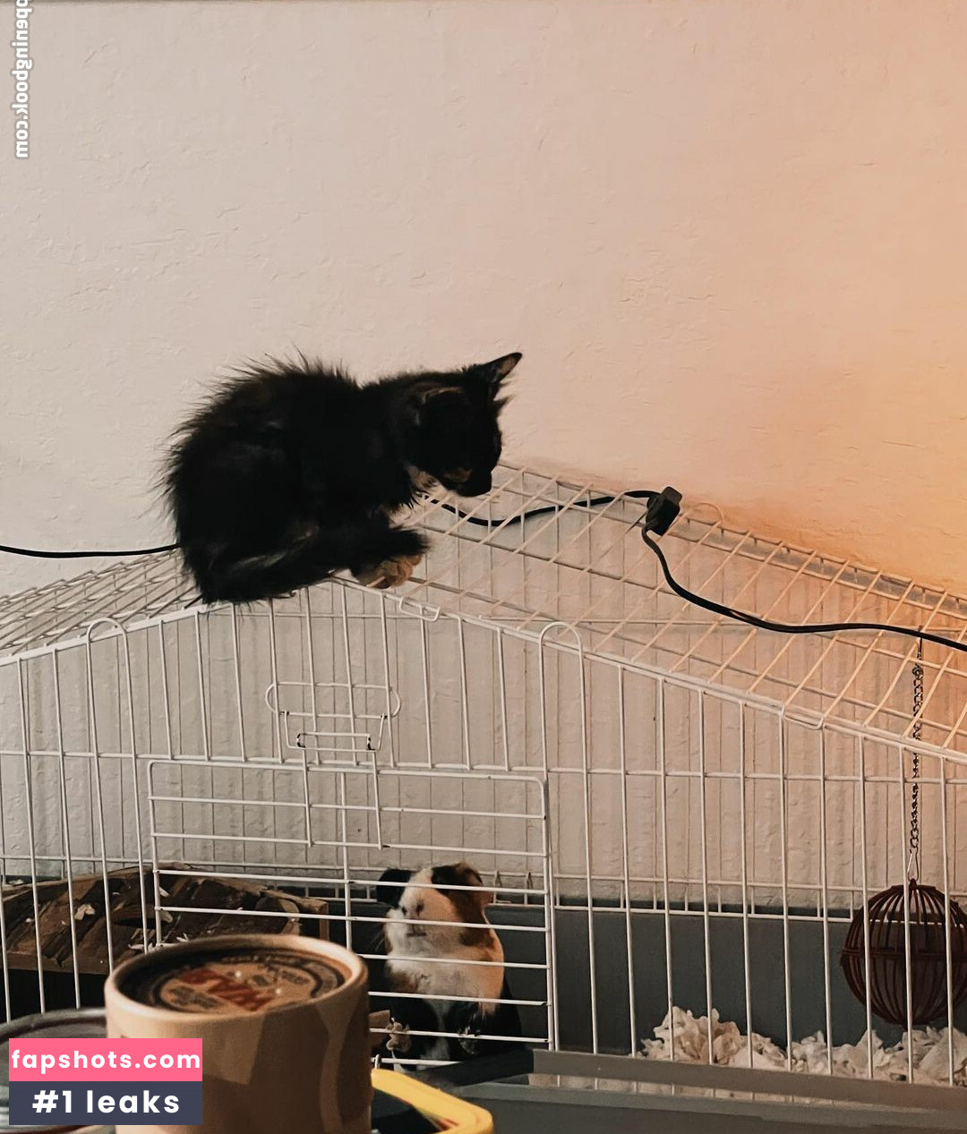 Grace Nacktheit OnlyFans Fotos #27 - Fapshots