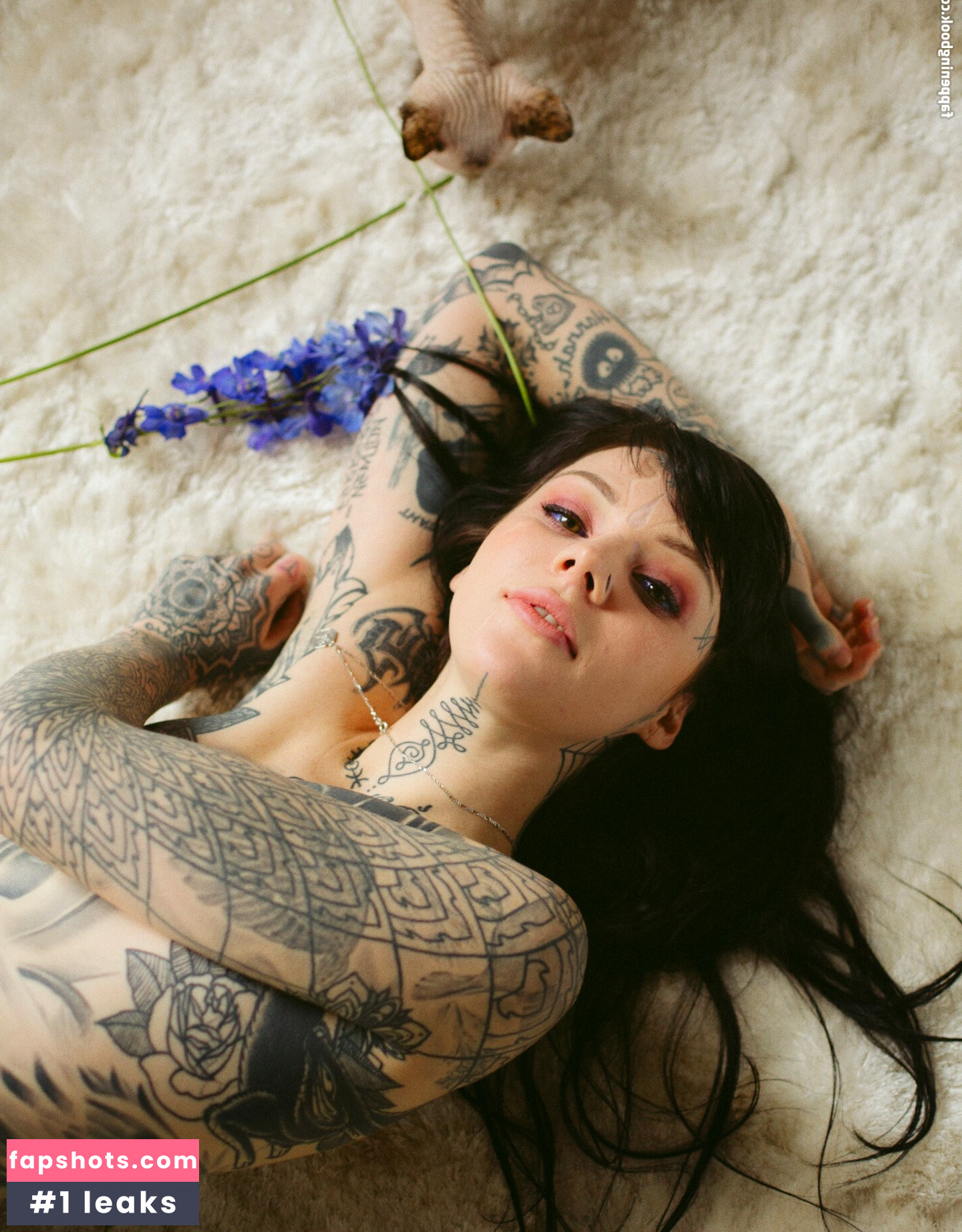 graceneutral gallery photo #13