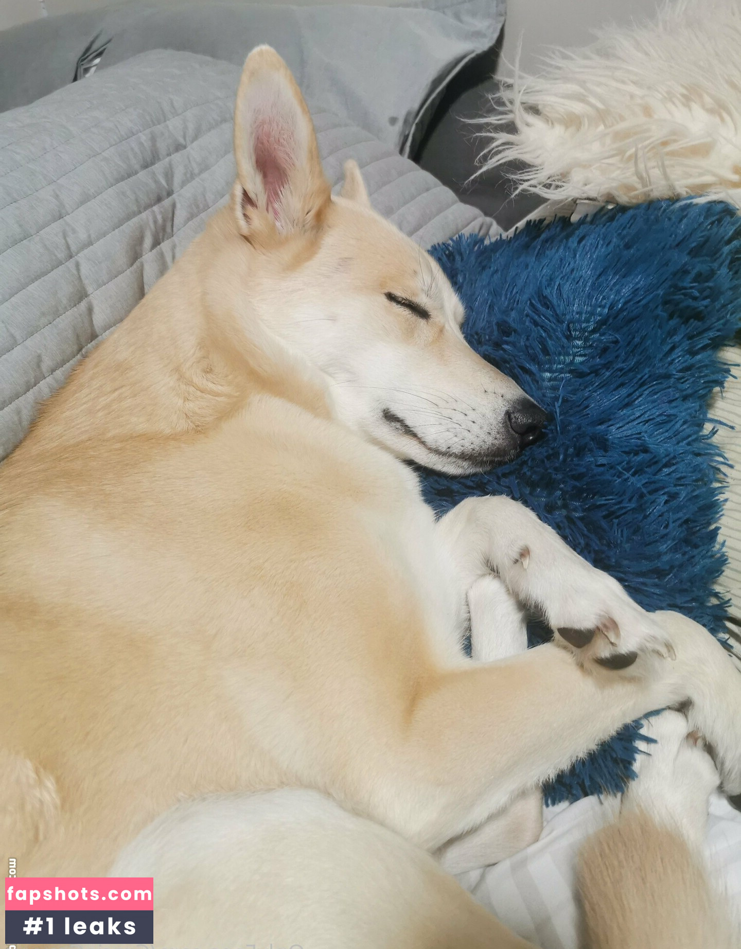 graciegreyyxo gallery photo #6