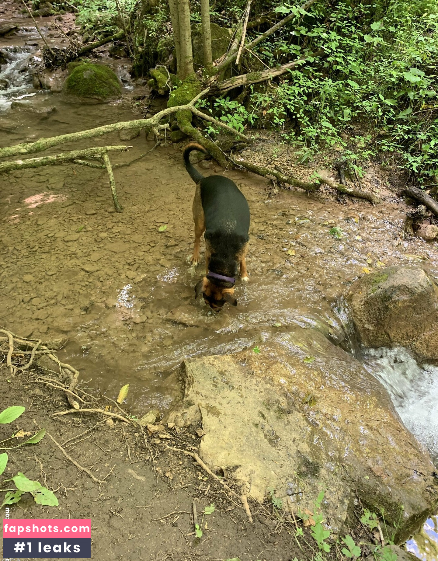 graciehaze Filtración Desnuda OnlyFans Foto #13 - Fapshots