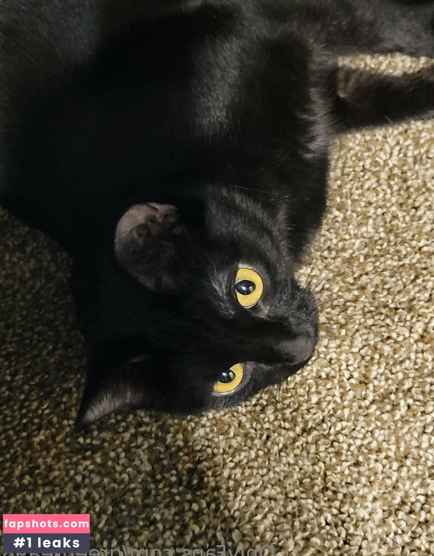 greentea98 Nude Leaks OnlyFans Photos #11 - LeakJerk