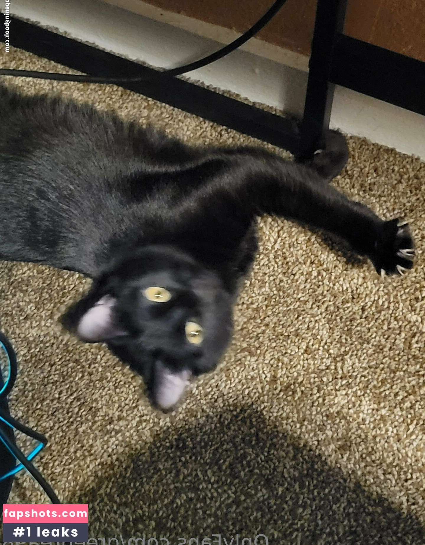 greentea98 Nude Leaks OnlyFans Photos #16 - LeakJerk