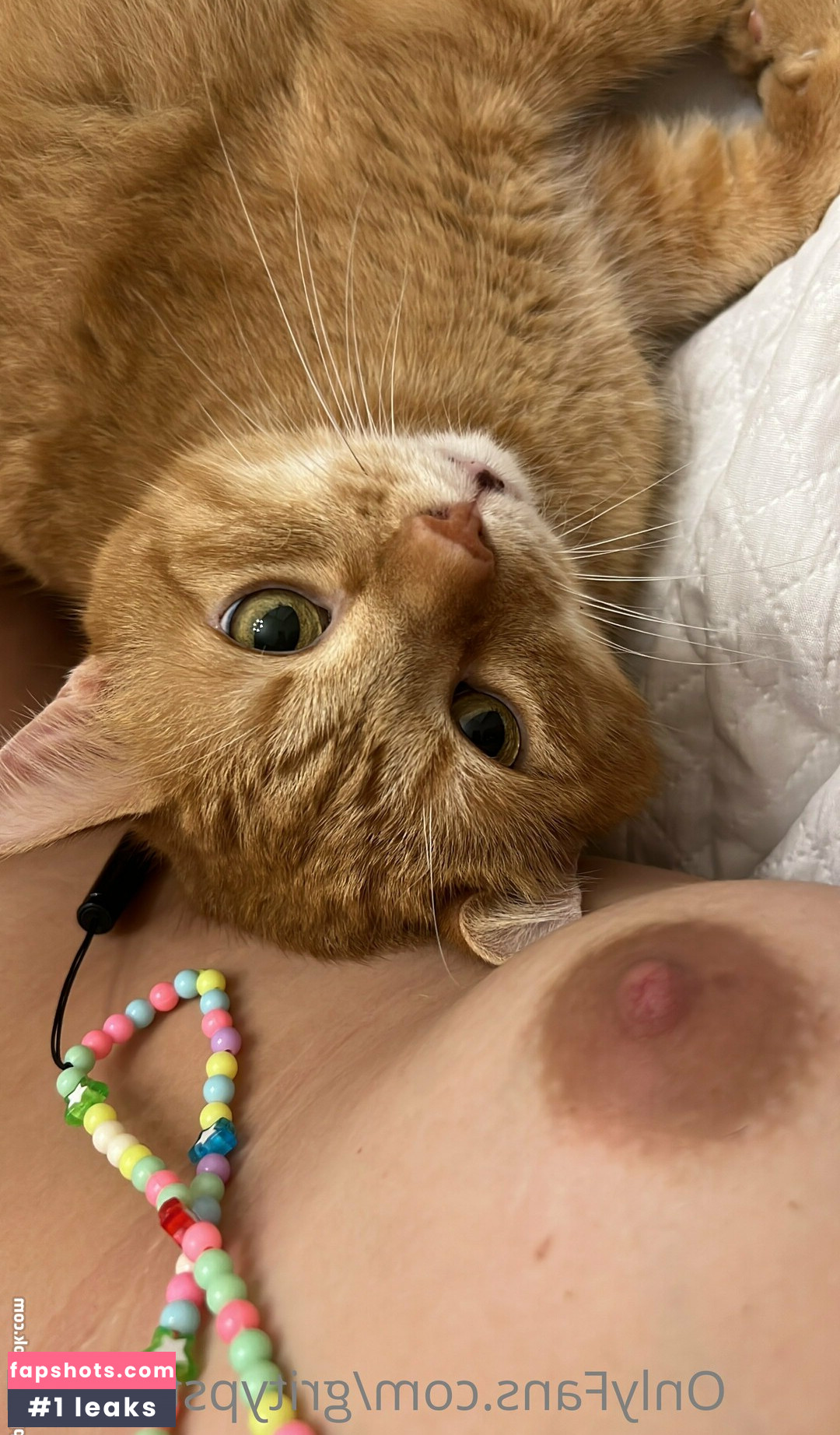 Gritypster gallery photo #2