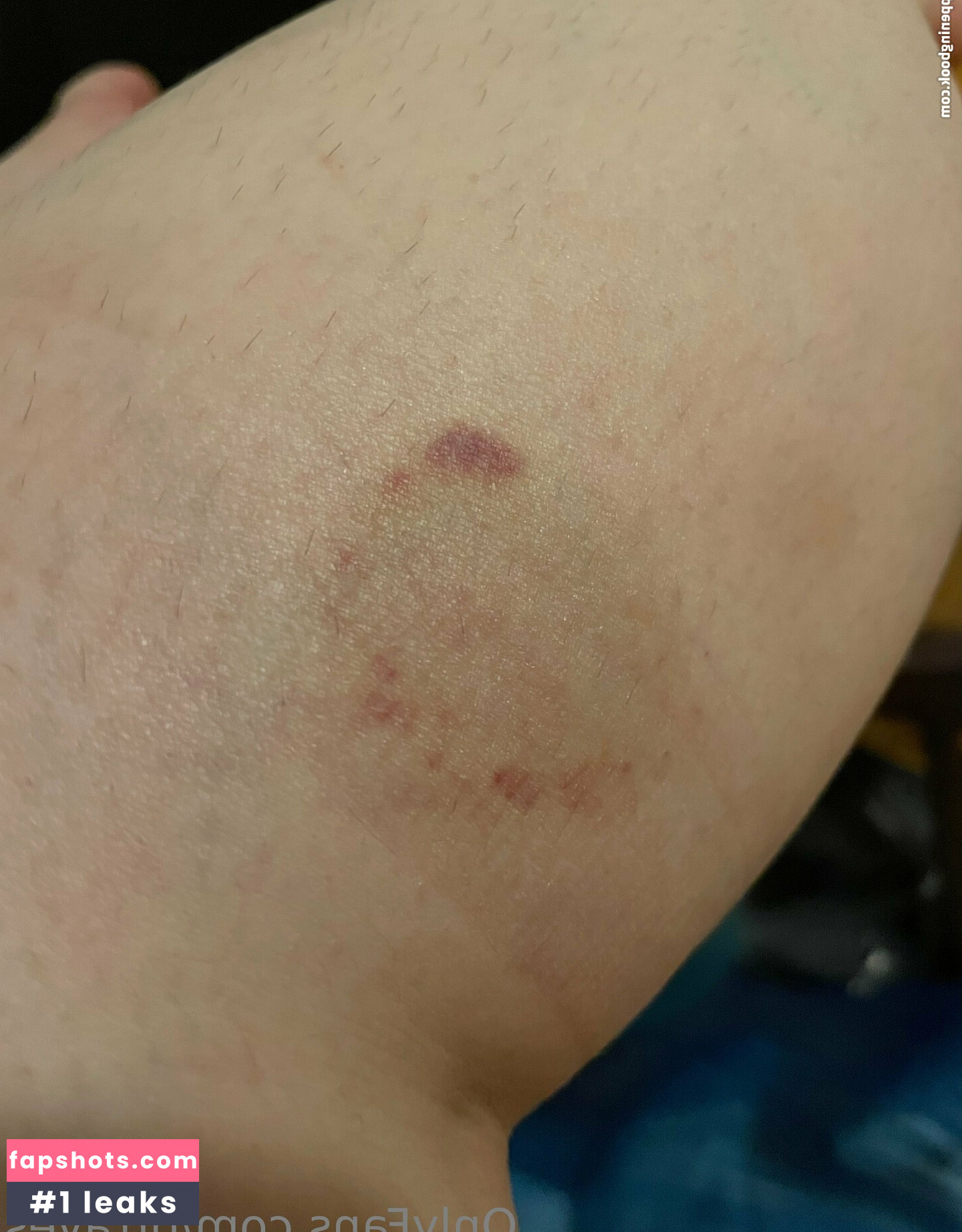 grraves gallery photo #47