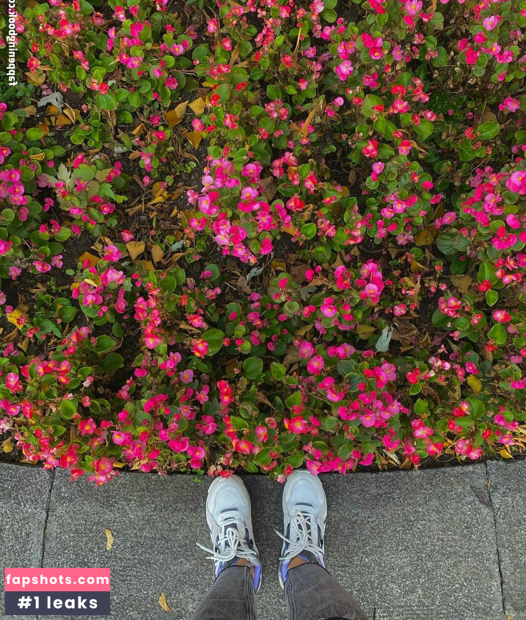 Gulia gallery photo #27