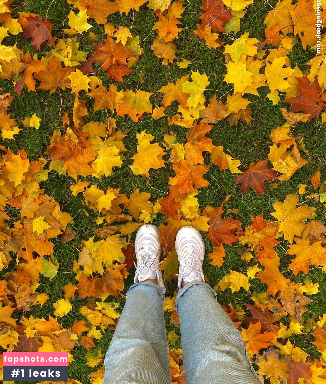 Gulia gallery photo #10