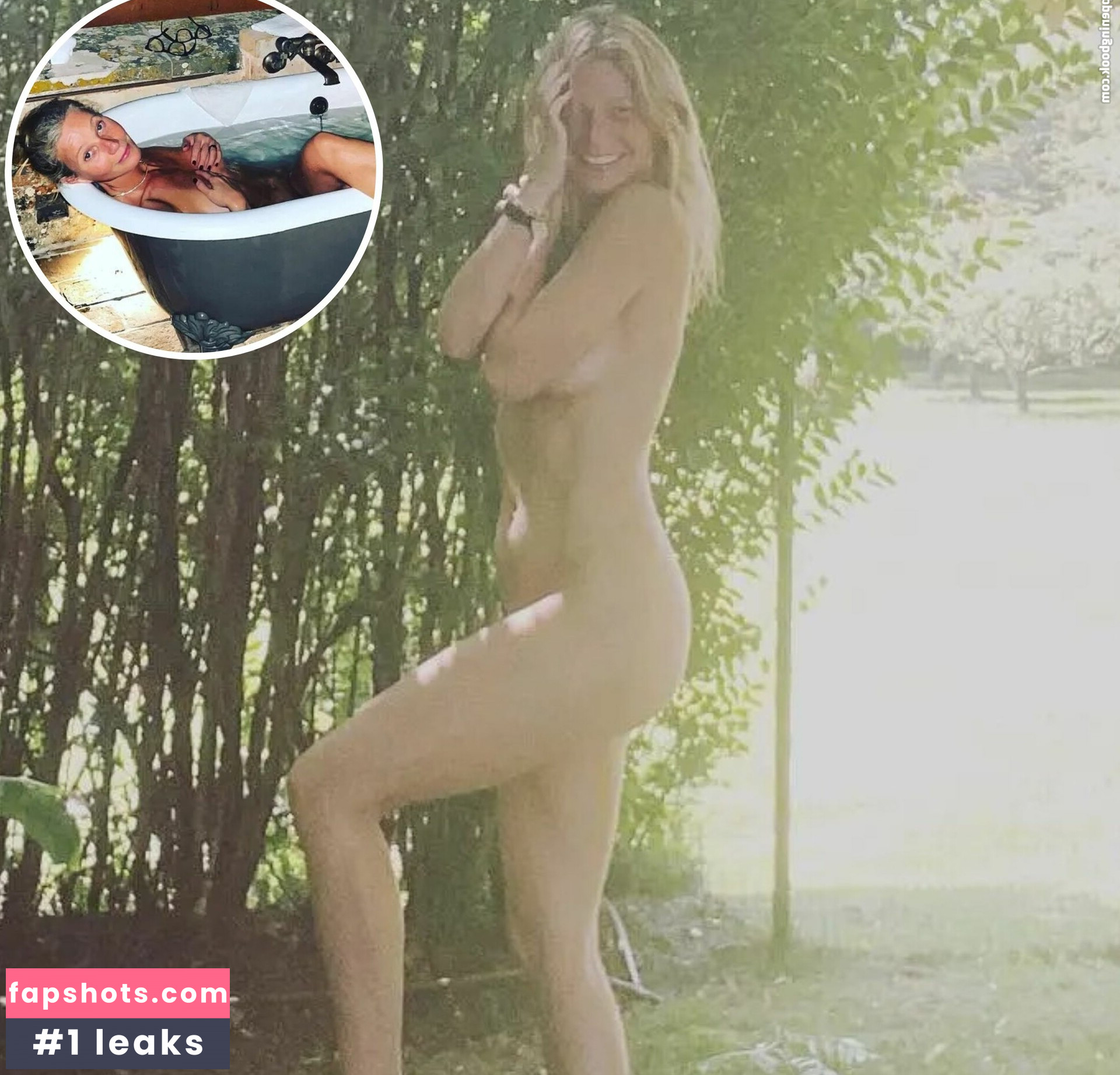 Gwyneth Paltrow gallery photo #21