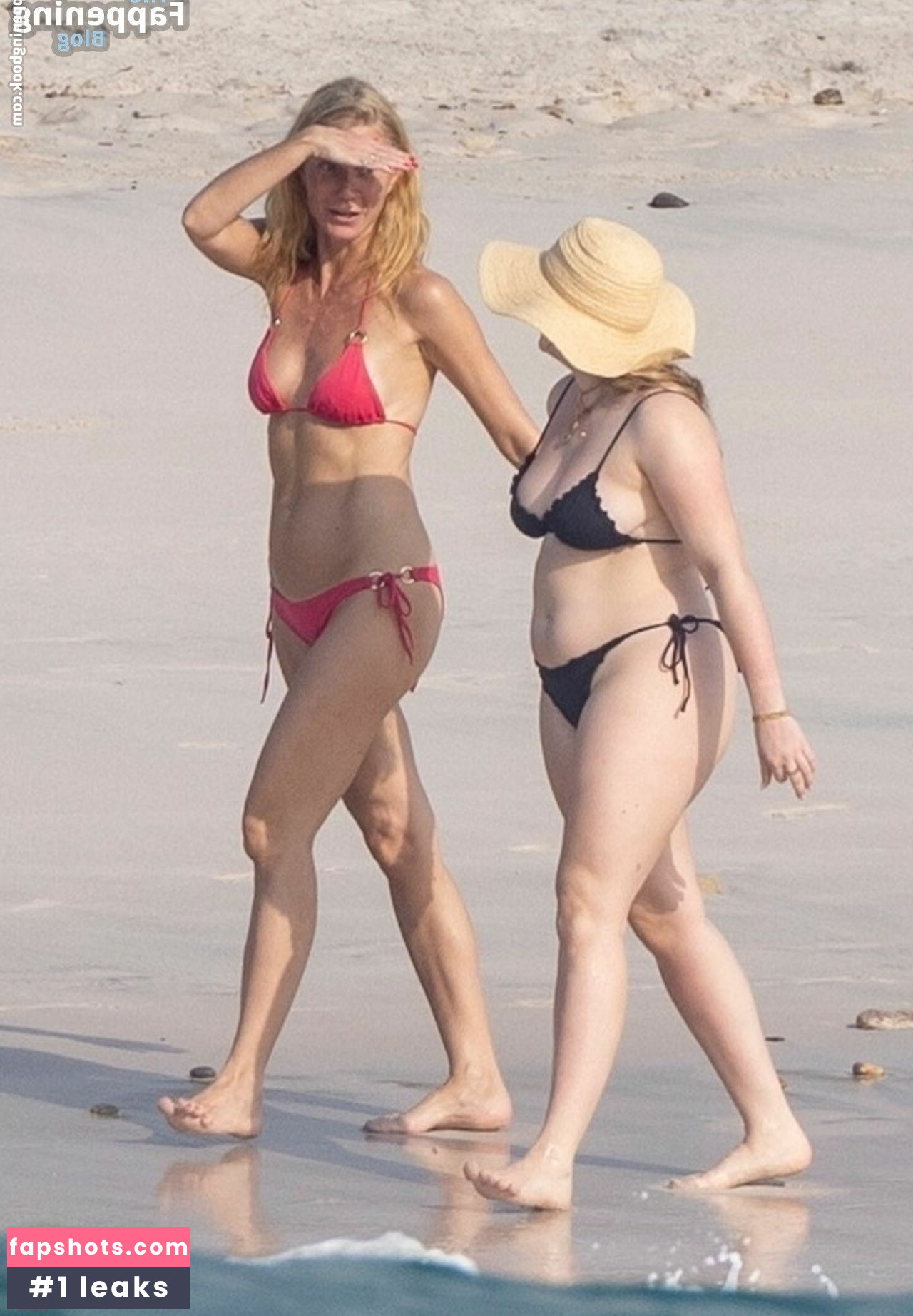 Gwyneth Paltrow gallery photo #61