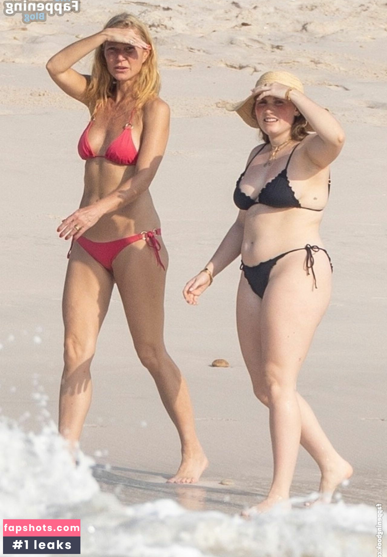 Gwyneth Paltrow gallery photo #63