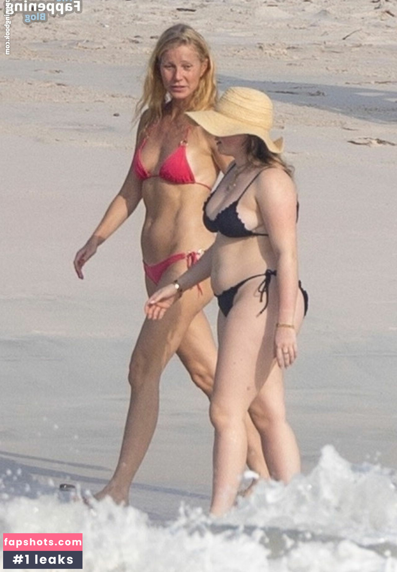 Gwyneth Paltrow gallery photo #64