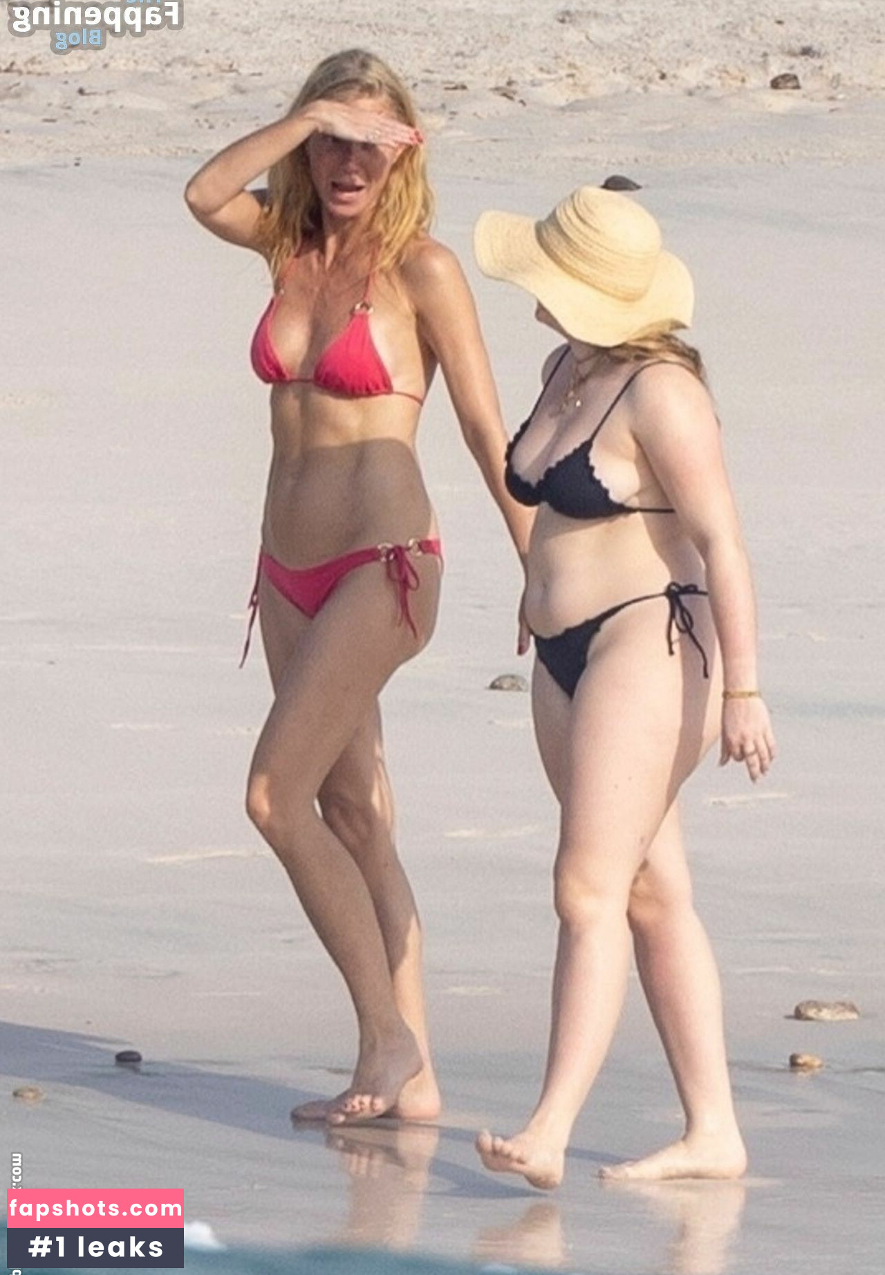 Gwyneth Paltrow gallery photo #65