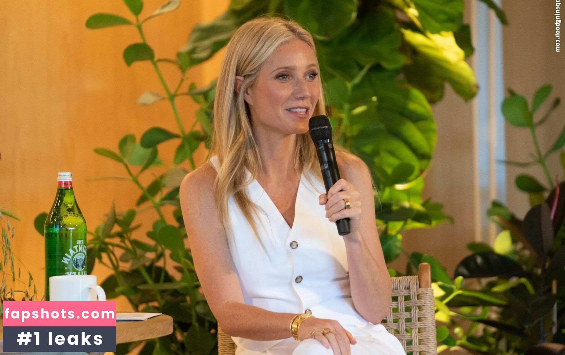 Gwyneth Paltrow gallery photo #88