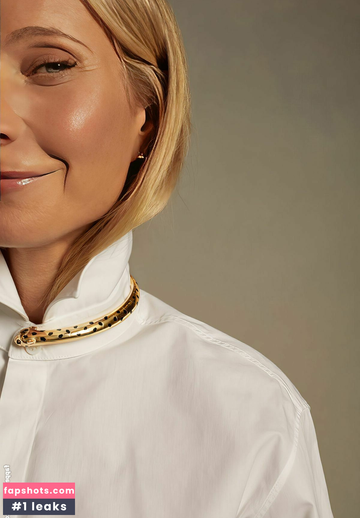 Gwyneth Paltrow gallery photo #96