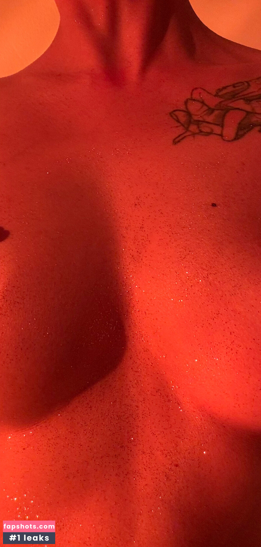 GymnoCerise gallery photo #7