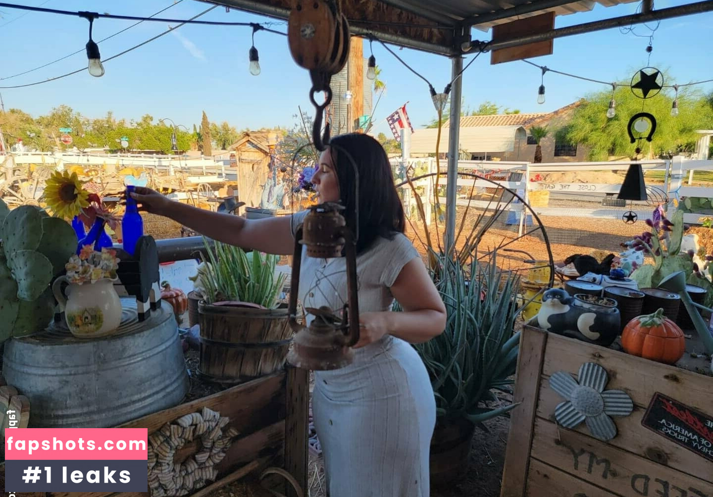 Gypssaii gallery photo #20