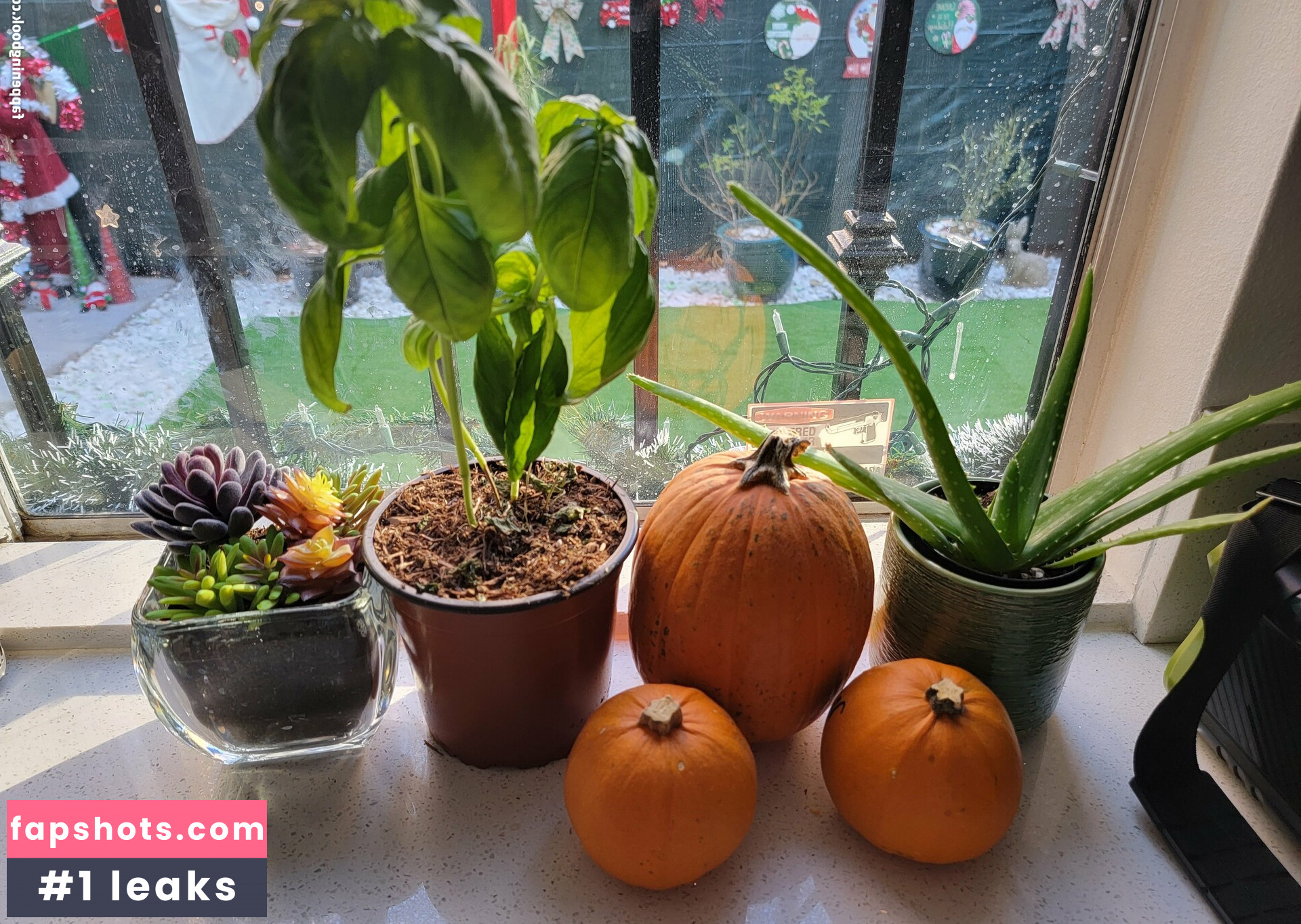 Gypssaii gallery photo #22