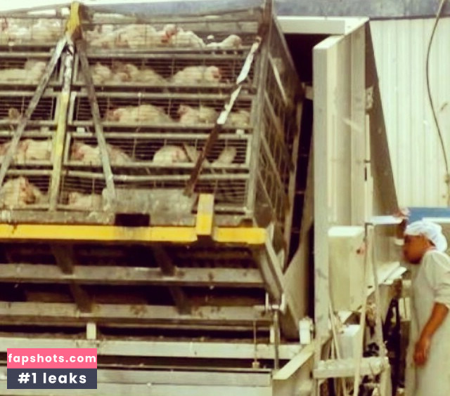 Hadar Ben Haim gallery photo #2