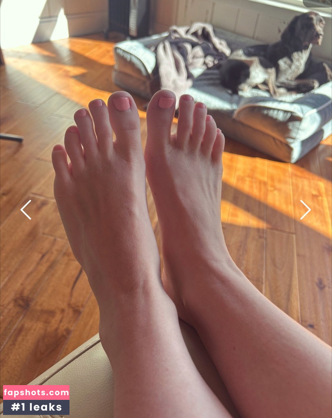 Haesicks gallery photo #1411