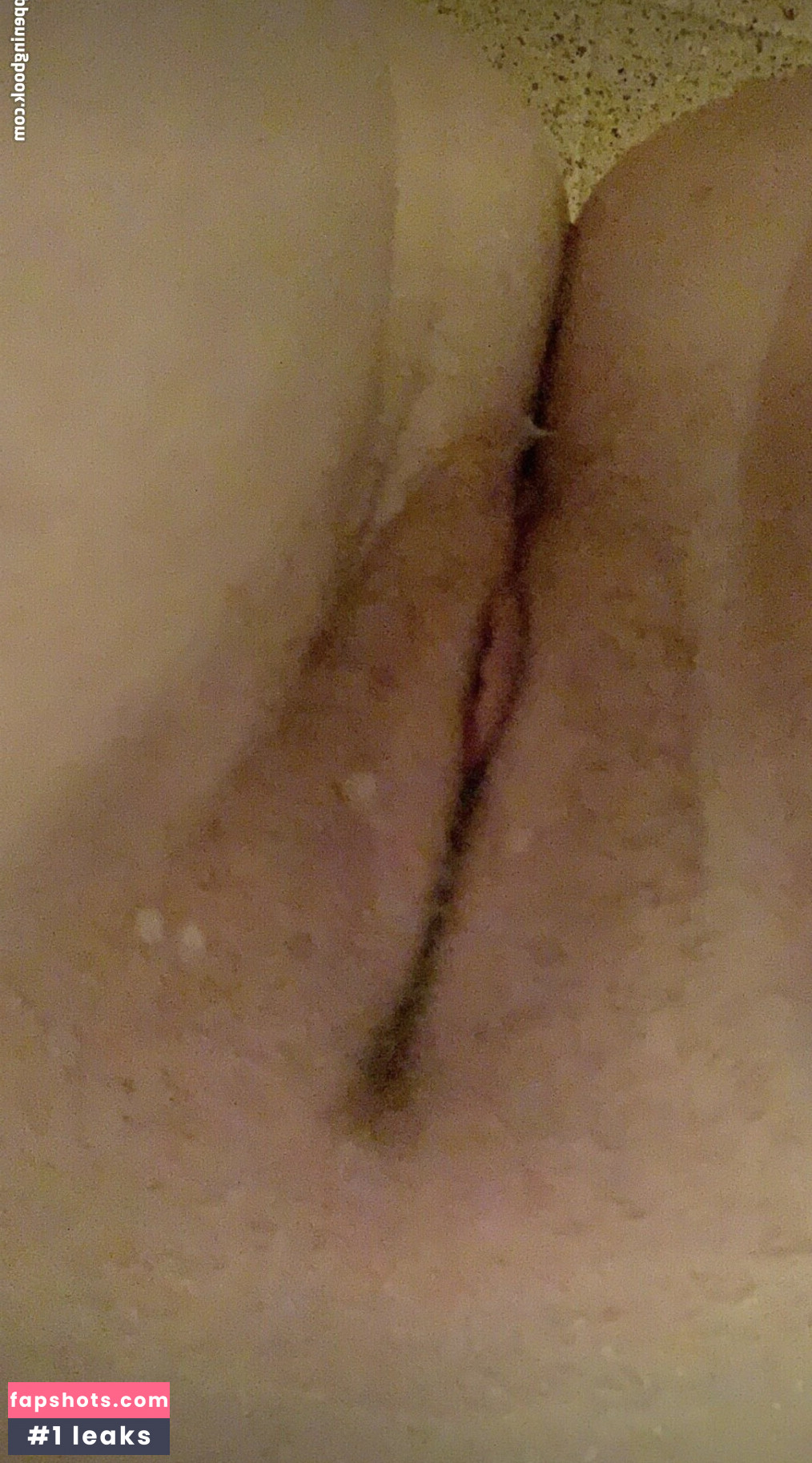 haidentaylor2 gallery photo #4