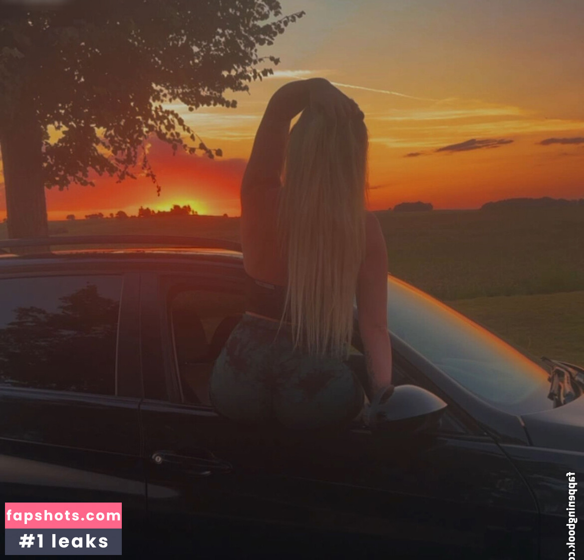 Haifischnnikez gallery photo #27