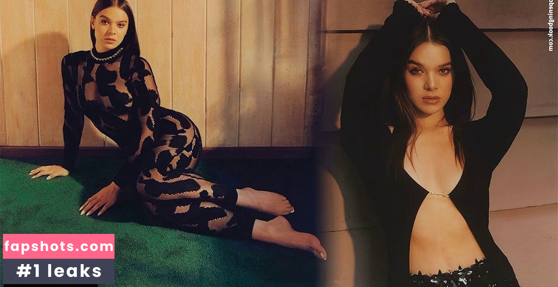 Hailee Steinfeld gallery photo #1408