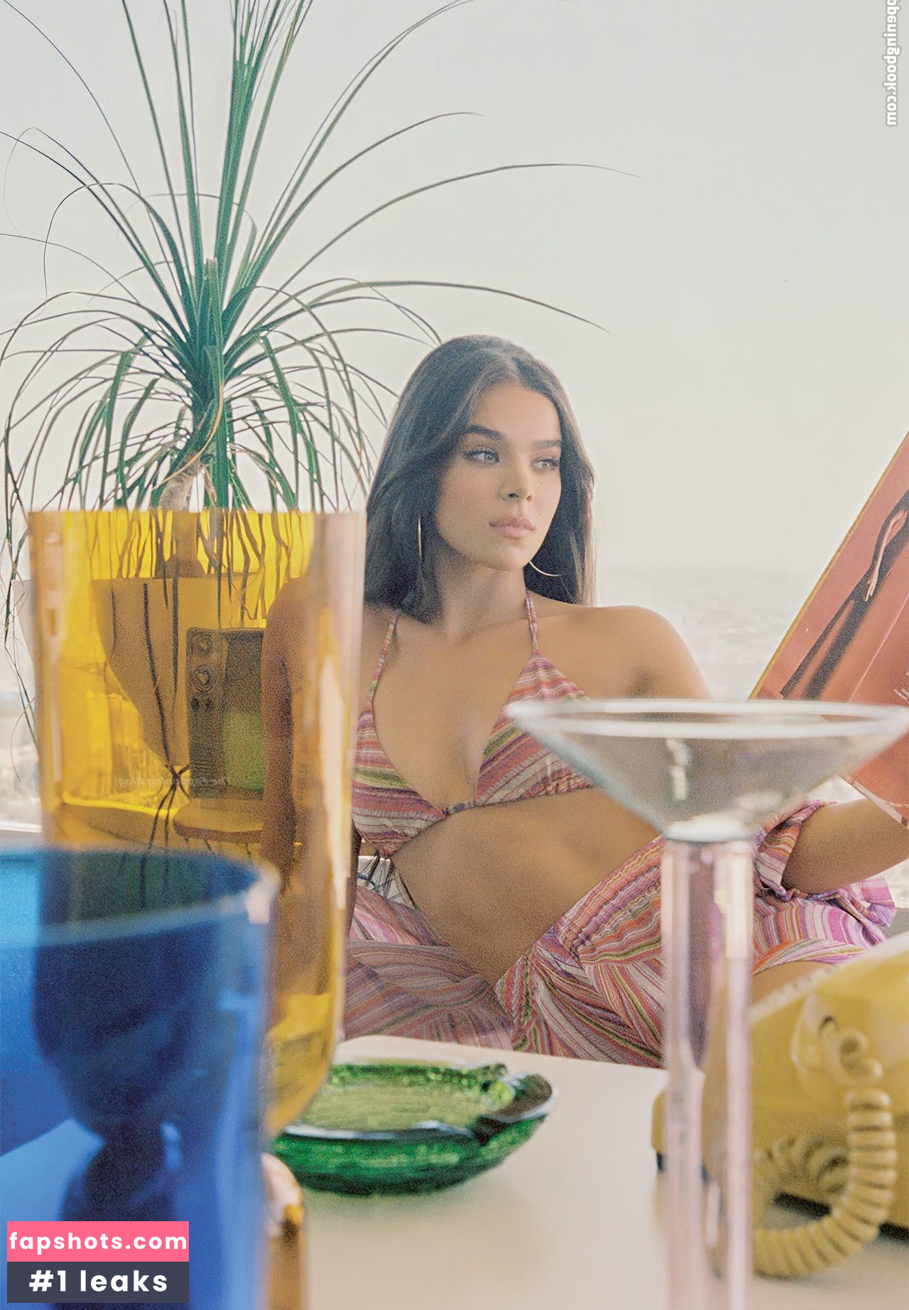 Hailee Steinfeld gallery photo #1566