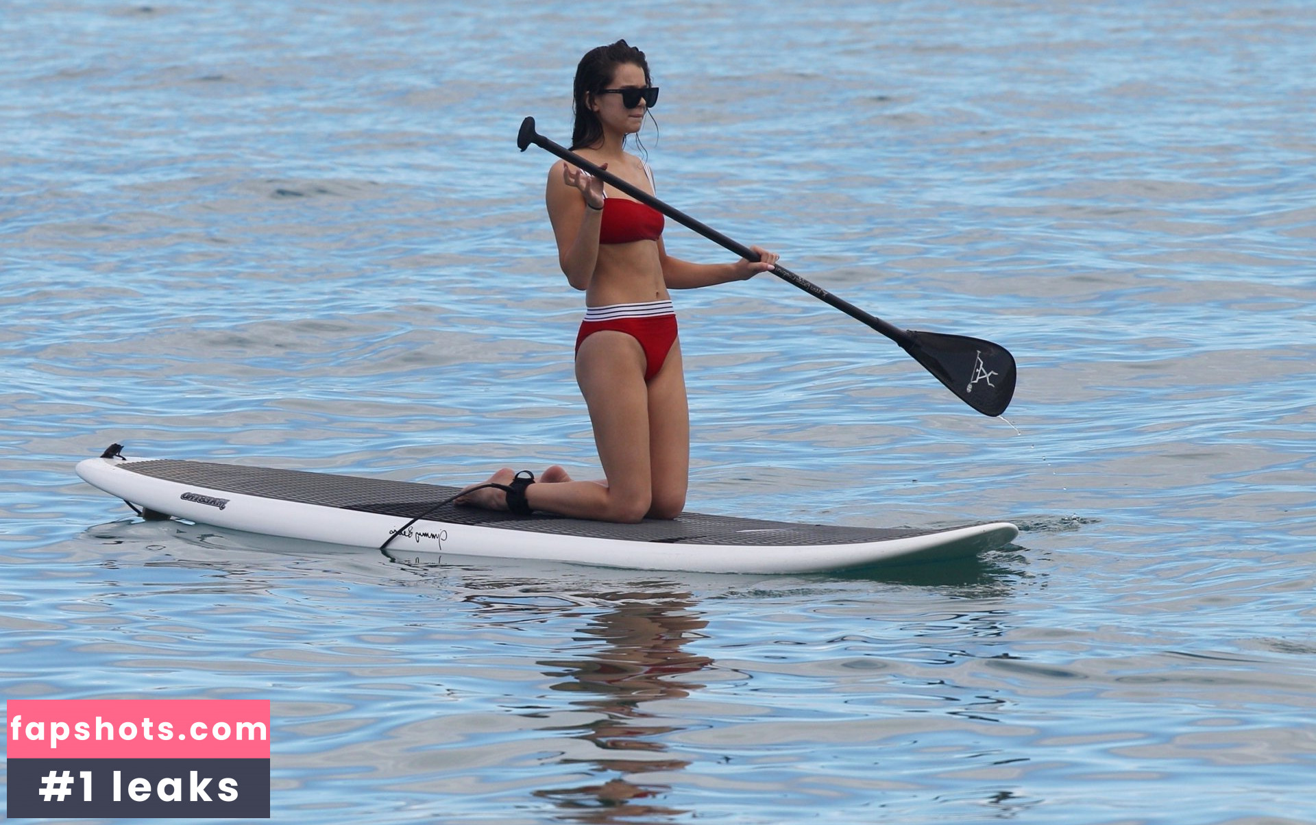 Hailee Steinfeld gallery photo #1638