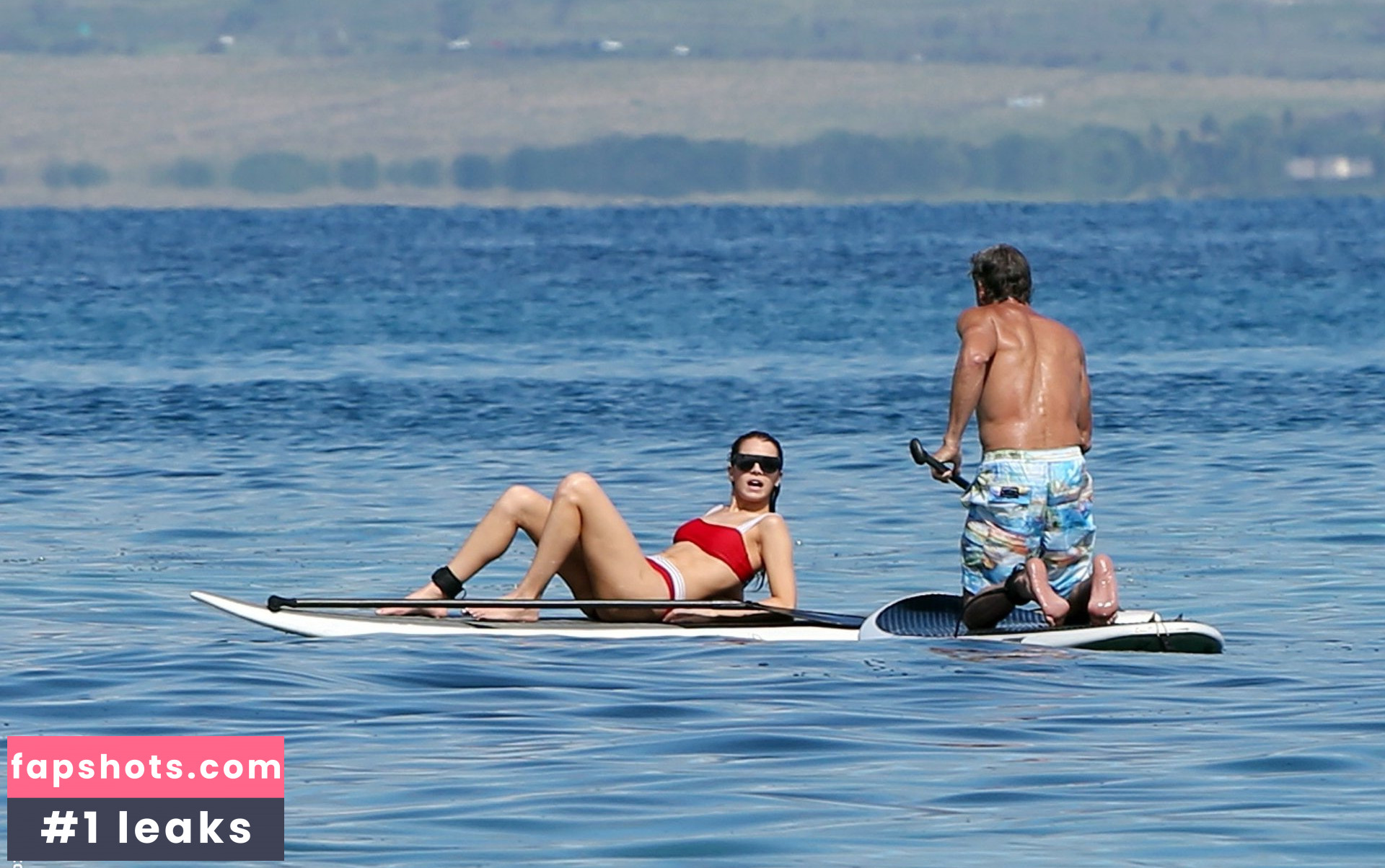 Hailee Steinfeld gallery photo #1651