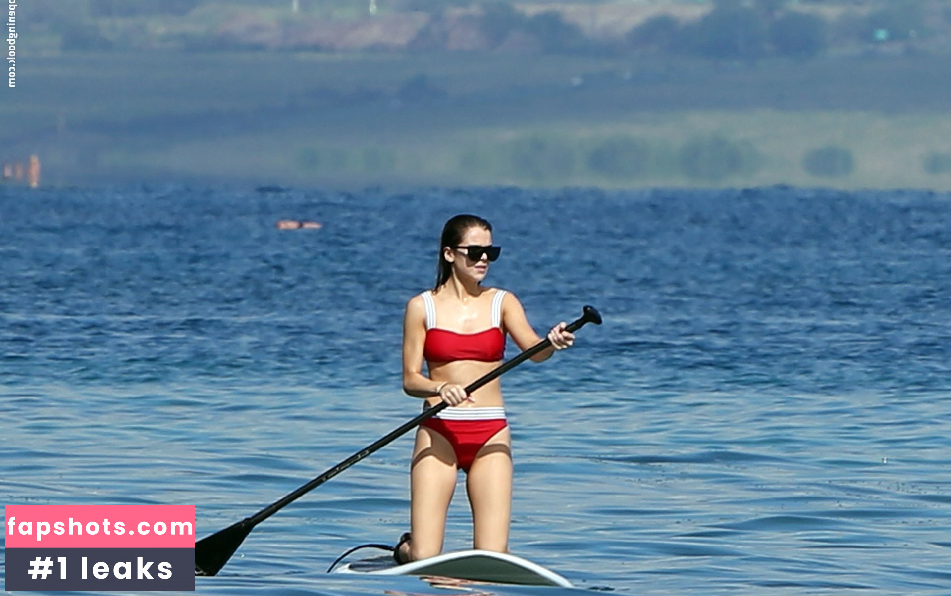 Hailee Steinfeld gallery photo #1652