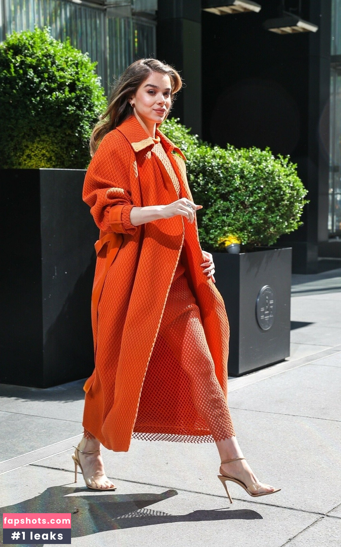 Hailee Steinfeld gallery photo #820