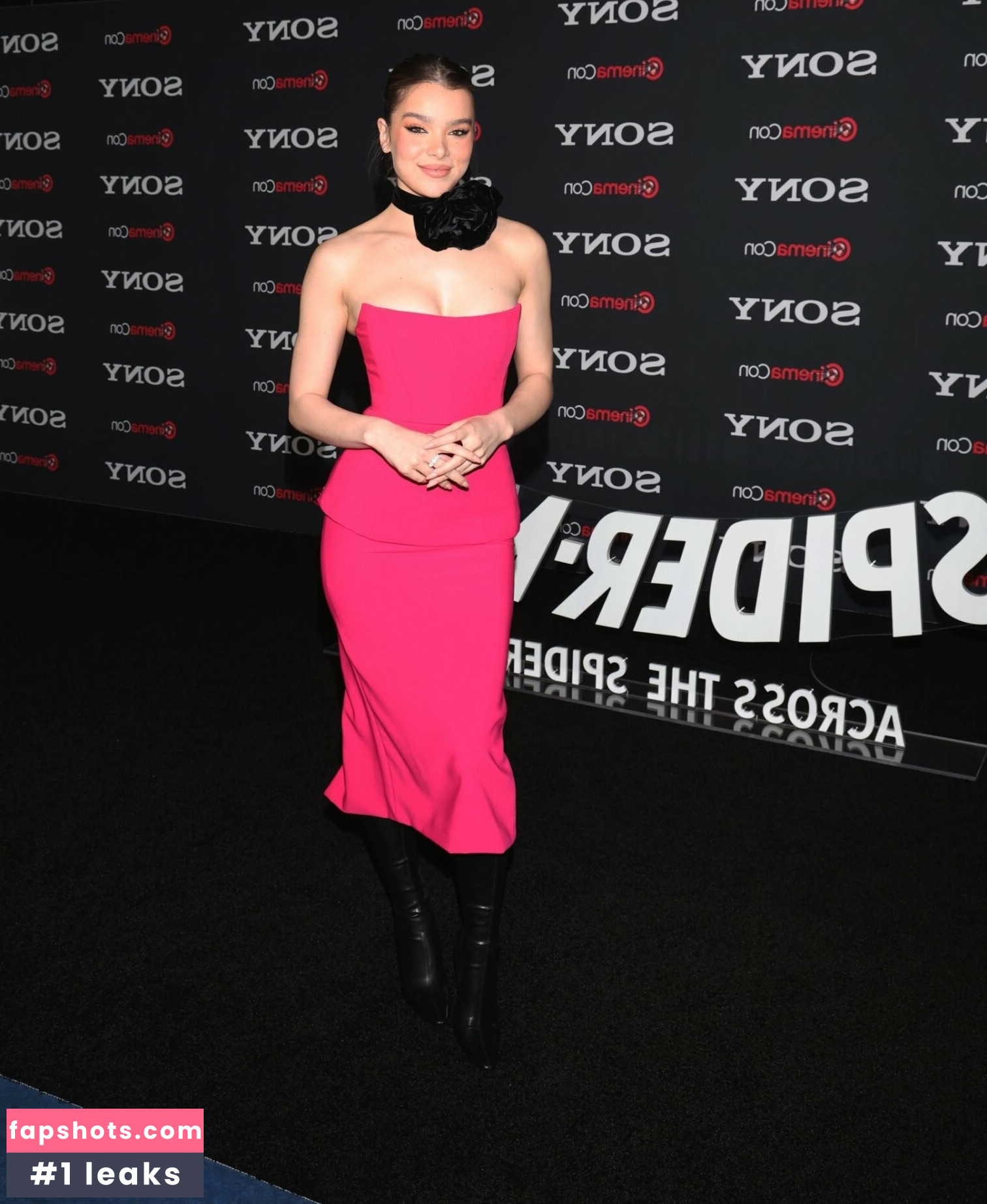 Hailee Steinfeld gallery photo #976