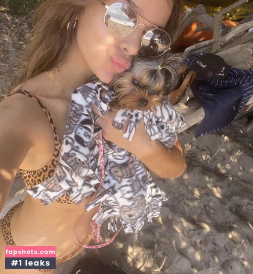 Hailee Steinfeld gallery photo #1690