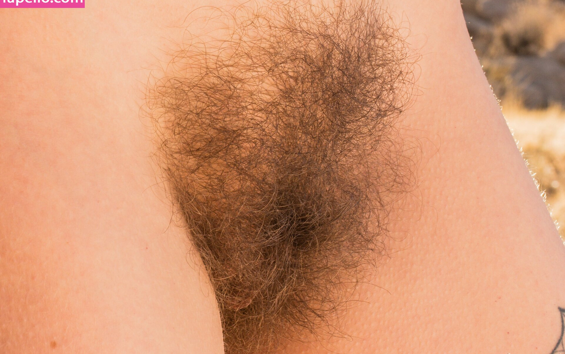 hairy-women gallery photo #2502