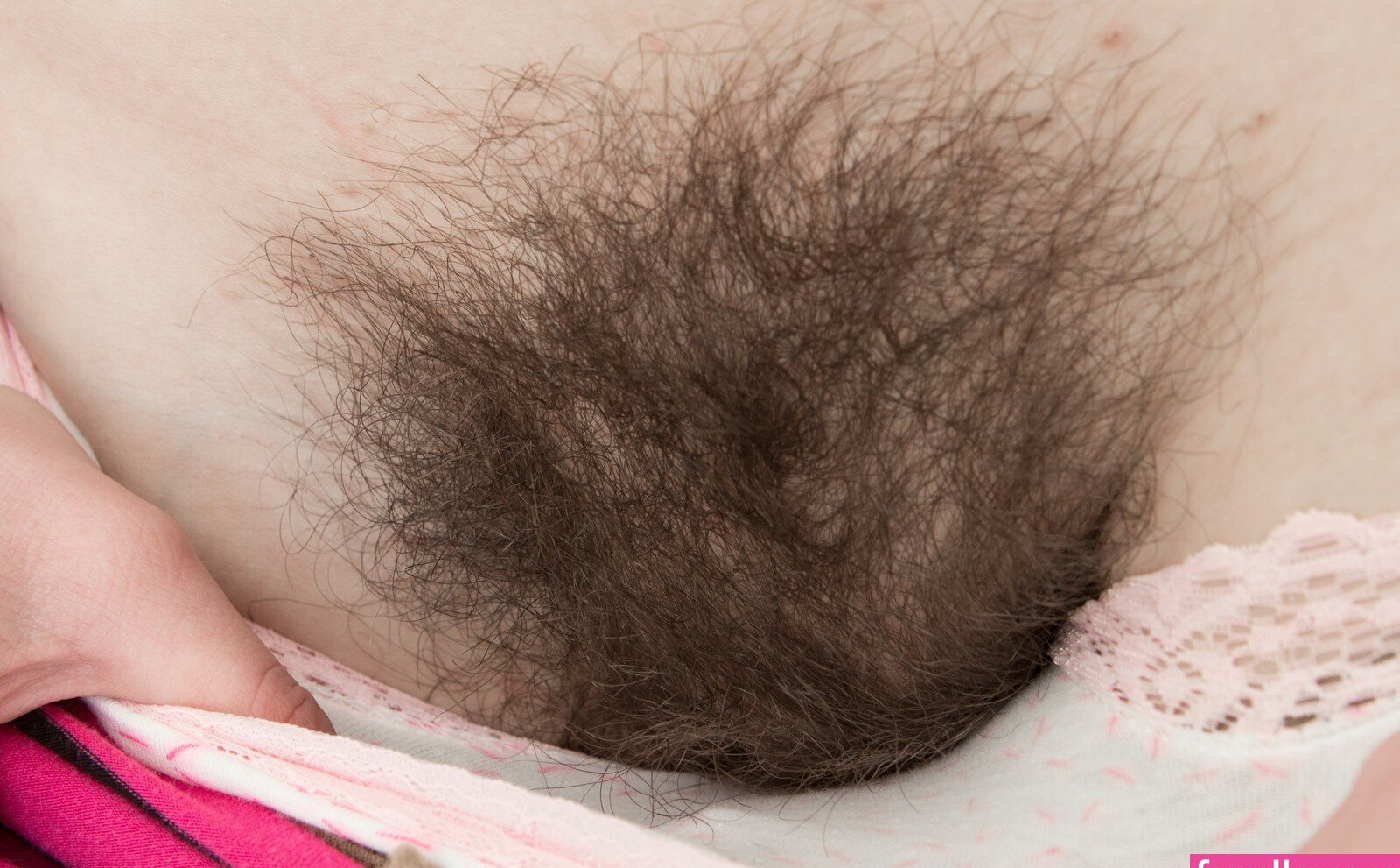 hairy-women Nude Leaks OnlyFans Photos #3566 - LeakJerk