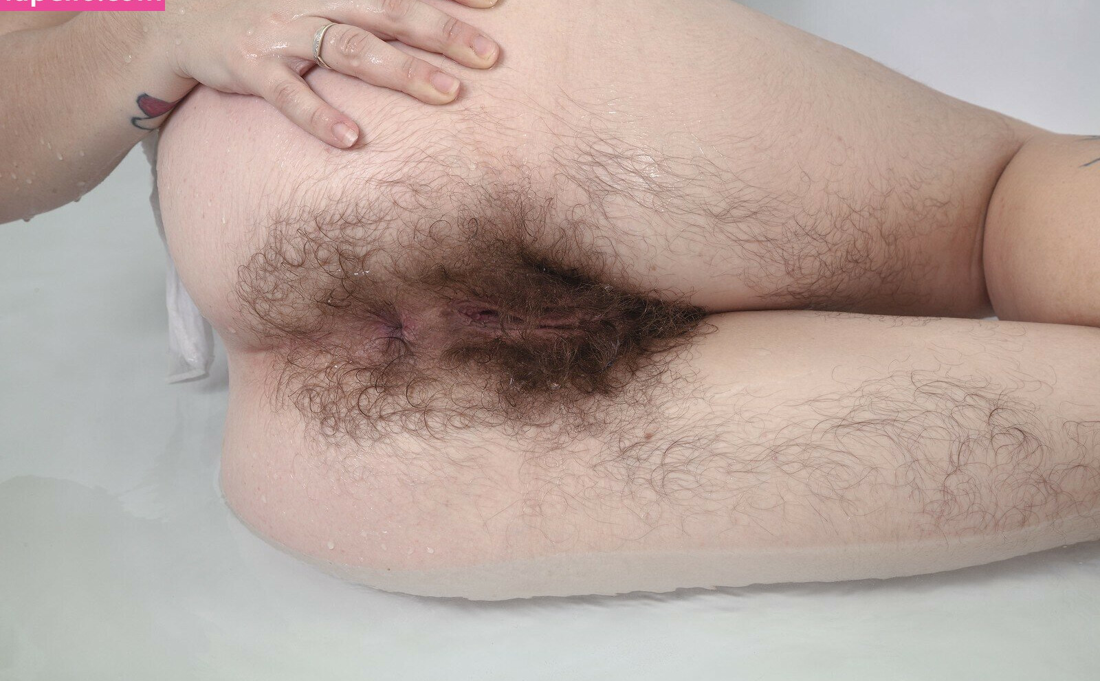 hairy-women Nude Leaks OnlyFans Photos #3899 - LeakJerk