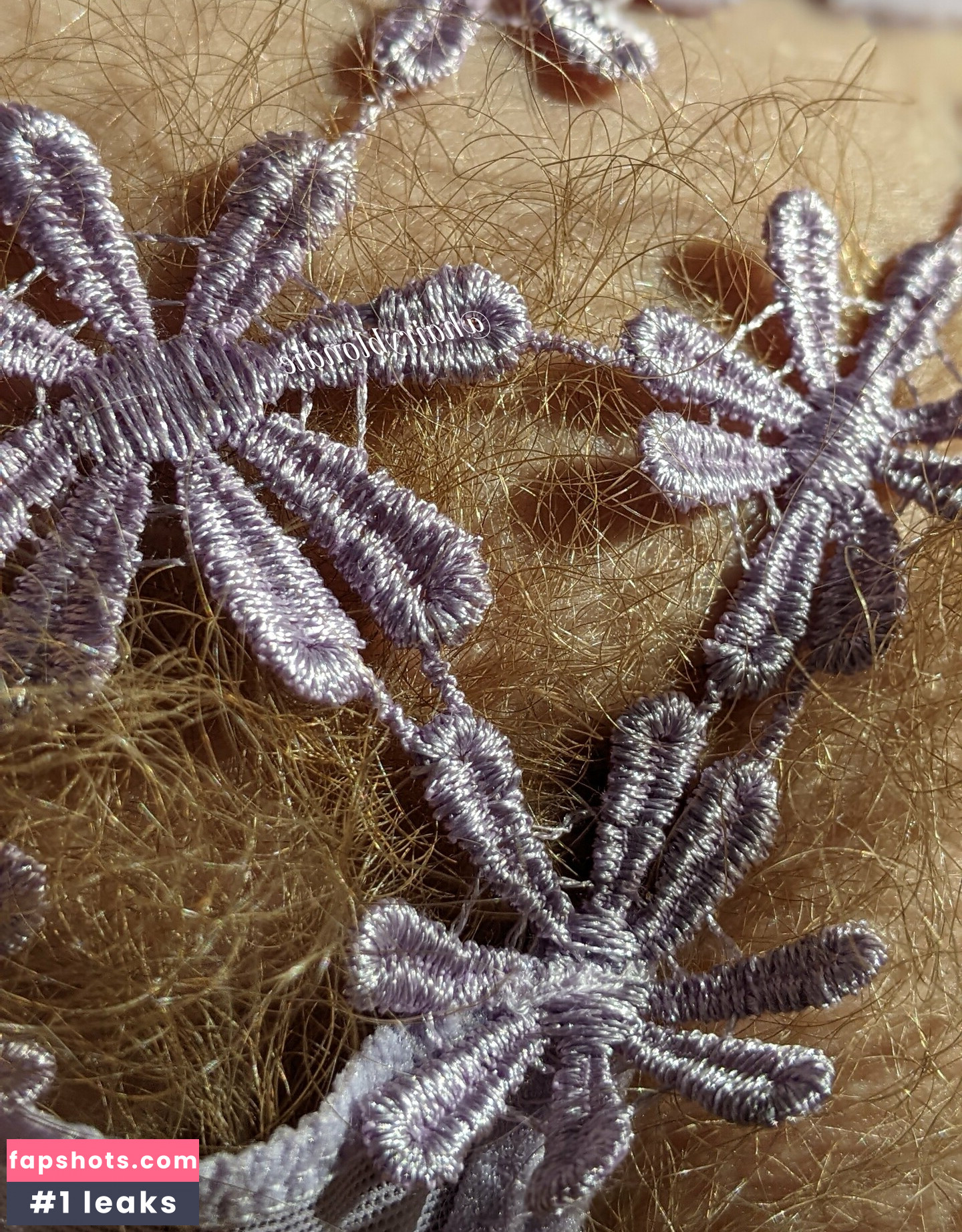 Hairyblondie gallery photo #29